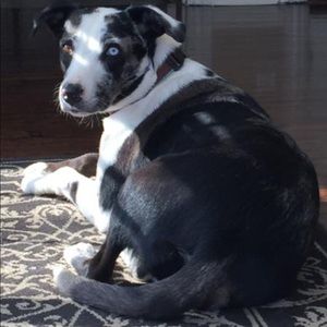 Meet your Posher, Kelly